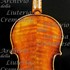 1717cViolino c.jpg