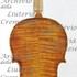 1719ViolinoRappoldi c.jpg