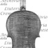 1722ViolinoImperatore c.jpg