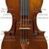 1724ViolinoPowell a1.jpg