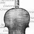 1726-30Violino c.jpg