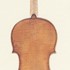 1726ViolinoStretton c.jpg