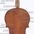 1727cViolino c.jpg