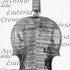 1727ViolinoMilstein c.jpg