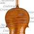 1728ViolinoMarquis c.jpg