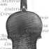 1728ViolinoRobberechts c.jpg