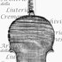 1732ViolinoLordKingston c.jpg