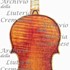 1732ViolinoTaylor c.jpg