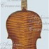 1733Violino c.jpg