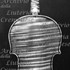 1733ViolinoTschudi c.jpg