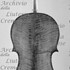 1734Violoncello c.jpg