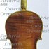 1735cViolino c.jpg