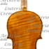 1735cViolino c.jpg