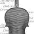 1735violino c.jpg