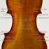 1736cViolino c1.jpg