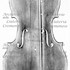 1736VioloncelloPaganini a1.jpg