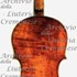 1737cViolino c2.jpg