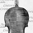 1739-76Violino2 c.jpg