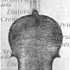 1740ViolinoPiccolo c.jpg