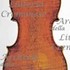 1742Viola c.jpg