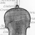 1742ViolinoPestel c.jpg