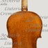 1744ViolinoTerminator c.jpg