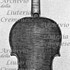 1753cViolino c.jpg
