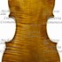 1753cViolinoFrankel c.jpg