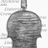 1757ViolinoCaressa c.jpg