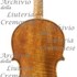 1760Violino5 c.jpg