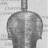 1765-97Violino3 c.jpg