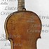 1765-97Violino c.jpg