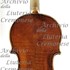 1765cViolino c.jpg