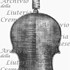 1767-1801Violino5 c.jpg