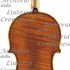 1767Violino c.jpg