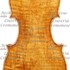 1768cViolino c.jpg