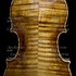 1769Violino3 c.jpg