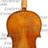 1774Violino c.jpg