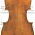 1778cViolino c.jpg