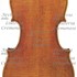 1780cViolino2 c.jpg