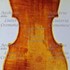 1780cViolino5 c.jpg