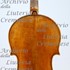 1780Viola c1.jpg