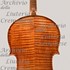 1781ViolinoSD c.jpg