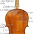 1783cViola c.jpg