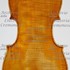 1783Violino c.jpg