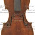 1784cViolino a1.jpg