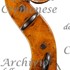 1785cVioloncello d.jpg 1785cVioloncello d.jpg