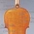 1788Violino c.jpg