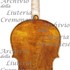 1790cViola c.jpg