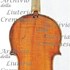 1790cViolino c.jpg